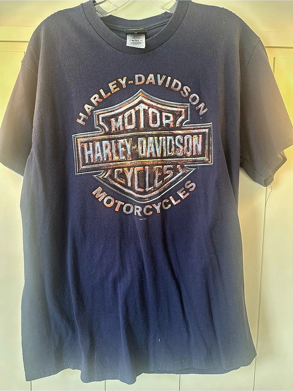 Harley-Davidson Knoxville Tennessee Dealer Graphic T-Shirt in Blue
